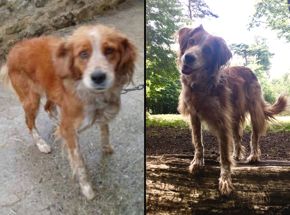 Lola avant après Lola avant après