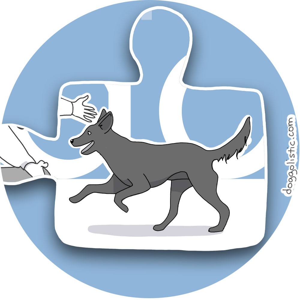 Illustration par Doggolistic d'un chien de type berger au centre d'une pièce de puzzle illustrant la recherche du chien parfait à adopter