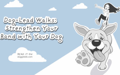 Dog Lead Walks: Their Pace, Their World, Your Bond