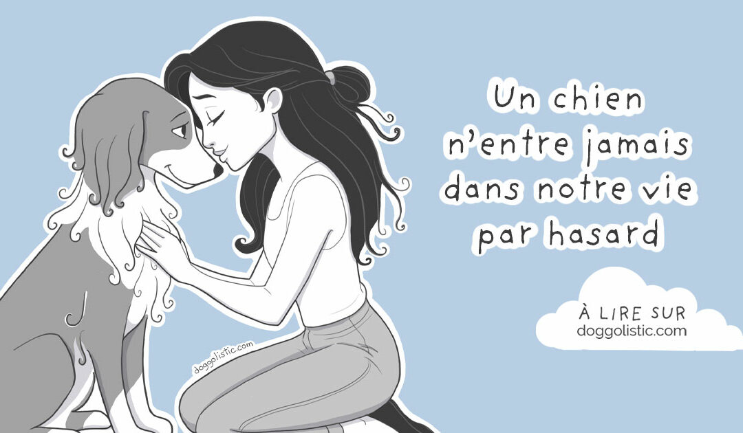 Le hasard n’existe pas : quand un chien change notre vie