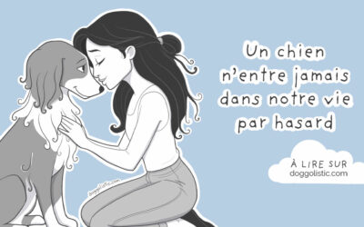 Le hasard n’existe pas : quand un chien change notre vie