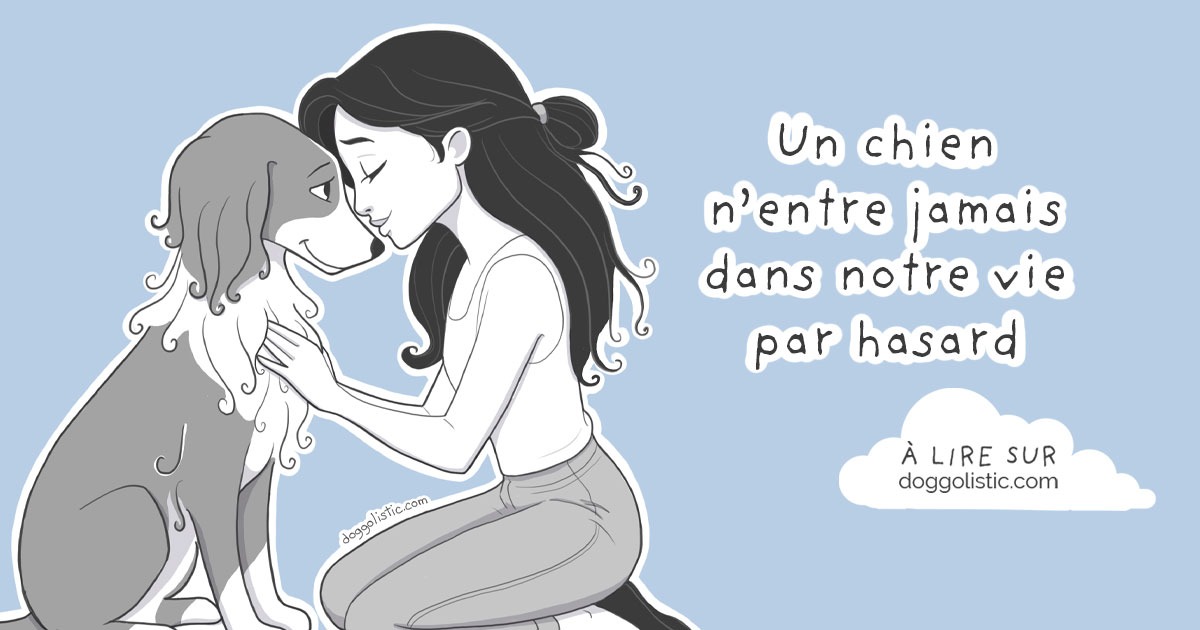 Illustration par Doggolistic d'une éducatrice éducateur comportementaliste canin assise à genoux les yeux fermés face à son chien la tête collée à celle de son chien, pour l'article "Il n'y a pas de hasard"