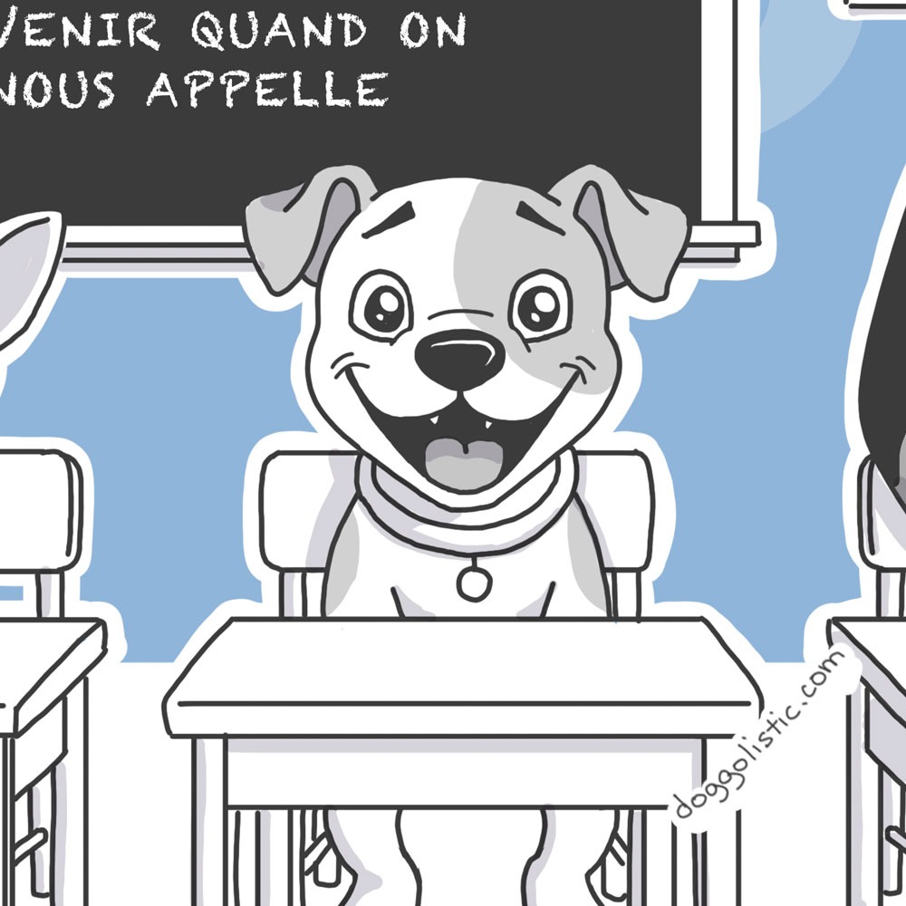 Illustration par Doggolistic d'un chien pitbull amercian staff staffordshire terrier et doberman assis en classe pour leurs cours d'éducation canine