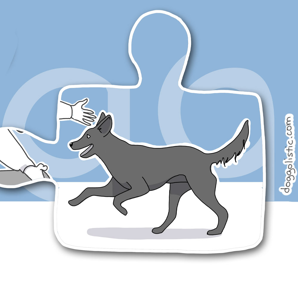 Dog trainer and behaviorist near Paris, France adoption guidance