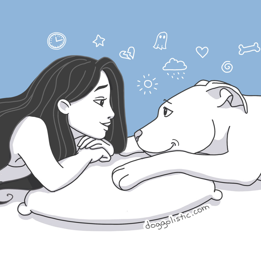 Dog behaviorist near Paris, France -  behavior assessment 