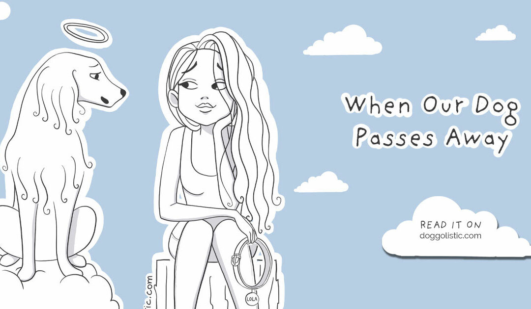 My Dog Died: How to Open My Heart Again