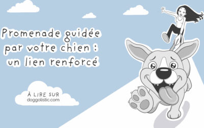 Laissez votre chien vous guider : la promenade qu’il attendait