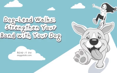 Dog Lead Walks: Their Pace, Their World, Your Bond