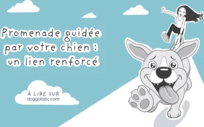 Laissez votre chien vous guider : la promenade qu’il attendait