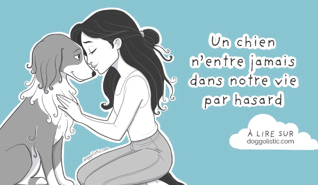 Le hasard n’existe pas : quand un chien change notre vie