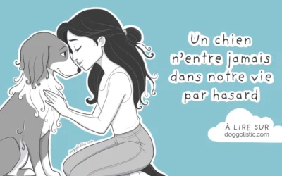 Le hasard n’existe pas : quand un chien change notre vie