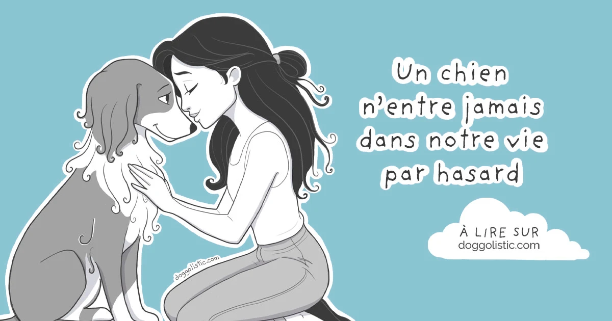 Illustration par Doggolistic d'une éducatrice éducateur comportementaliste canin assise à genoux les yeux fermés face à son chien la tête collée à celle de son chien, pour l'article "Il n'y a pas de hasard"