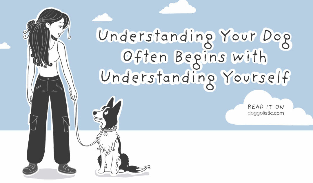 Understanding Your Dog Often Begins with Understanding Yourself: Toward Conscious Dog Training