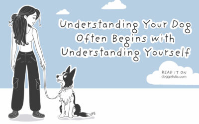 Understanding Your Dog Often Begins with Understanding Yourself: Toward Conscious Dog Training