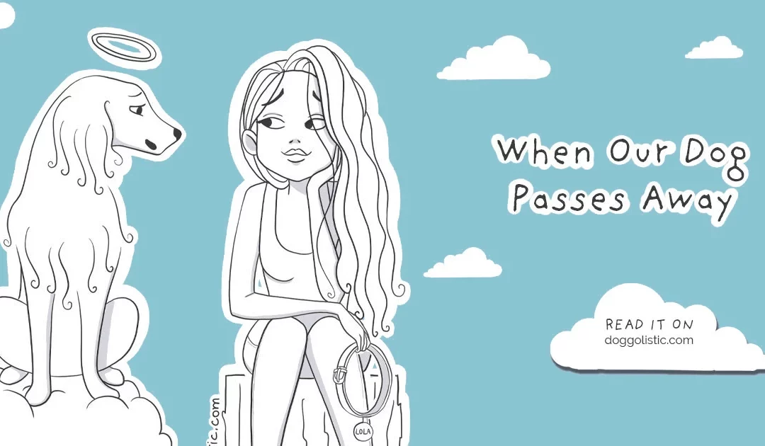 My Dog Died: How to Open My Heart Again
