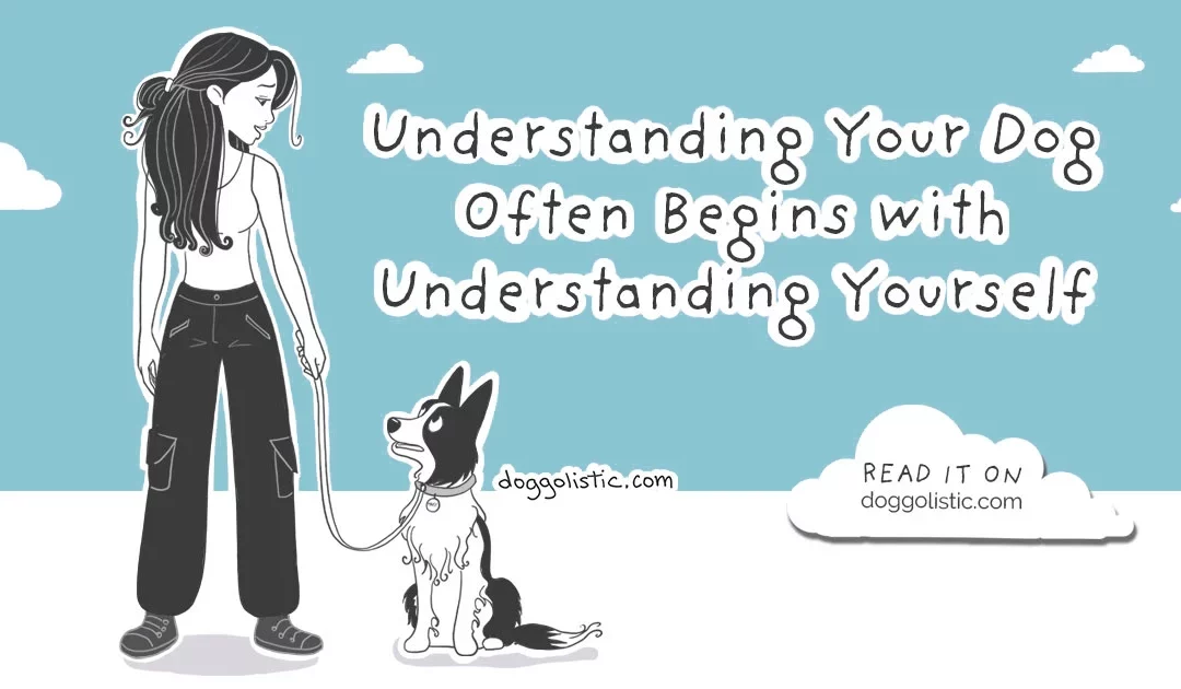 Understanding Your Dog Often Begins with Understanding Yourself: Toward Conscious Dog Training