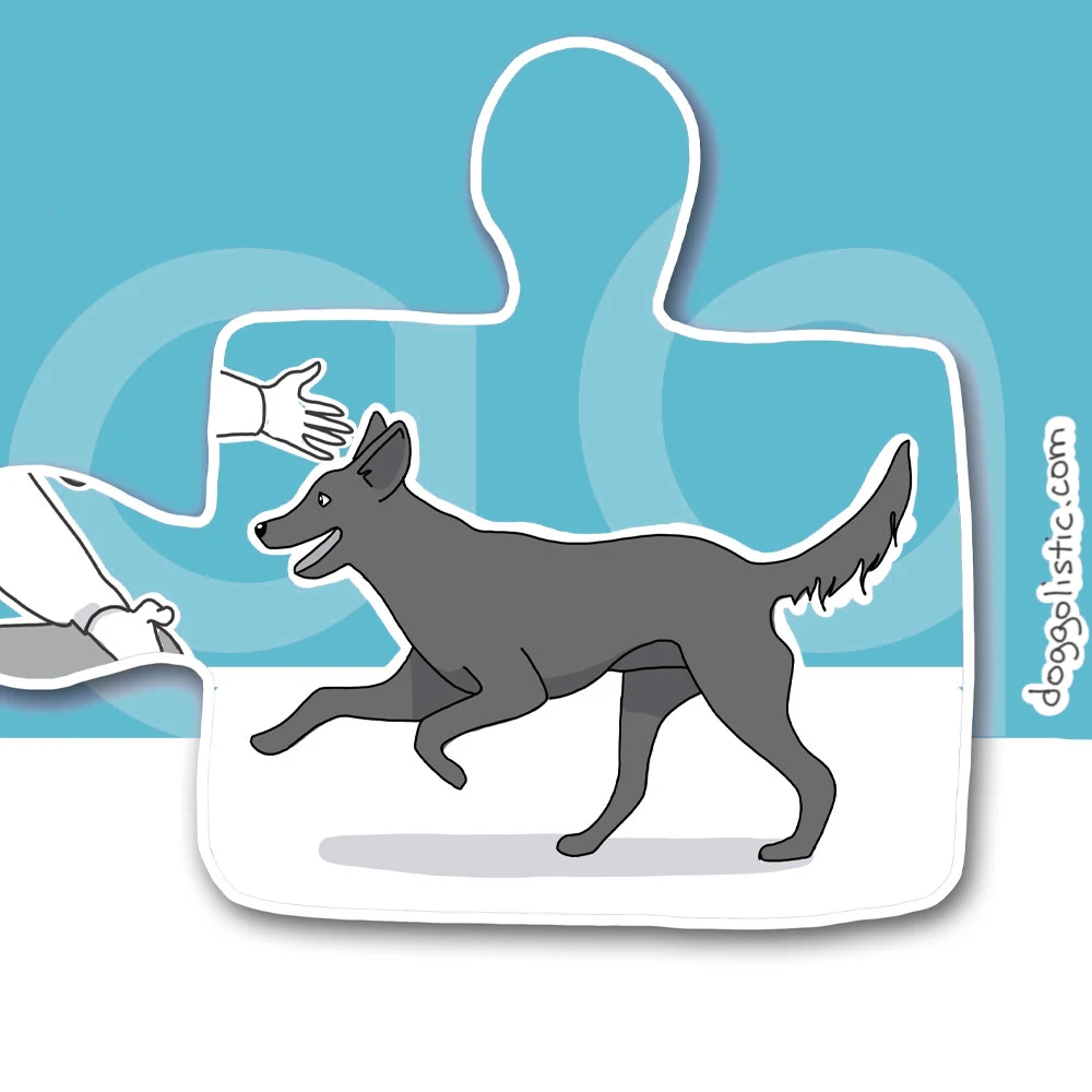 Illustration par Doggolistic d'un chien de type berger au centre d'une pièce de puzzle illustrant la recherche du chien parfait à adopter